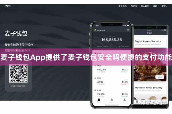 麦子钱包App提供了麦子钱包安全吗便捷的支付功能