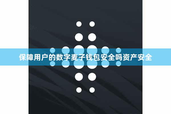 保障用户的数字麦子钱包安全吗资产安全